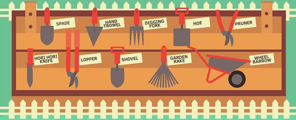 The Beginner’s Guide to Gardening and Landscaping