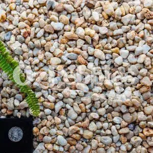 Oz Pebbles Honey Natural 20mm 1t Bulk Bag