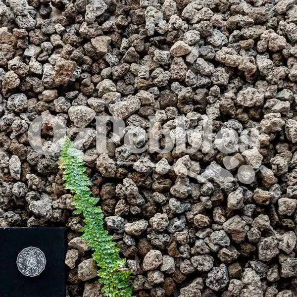 Oz Pebbles Scoria Charcoal 20mm 20kg Bag