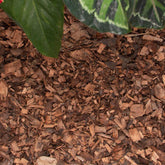 Forest Mulch