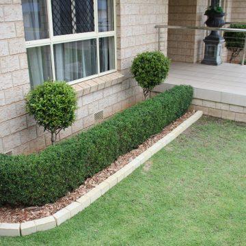 Vivid Edge - Garden Edging